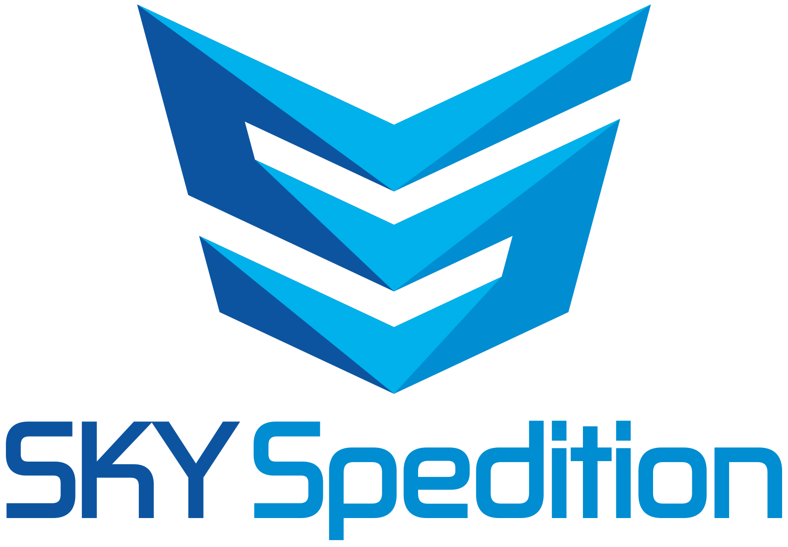 logo sky spedition